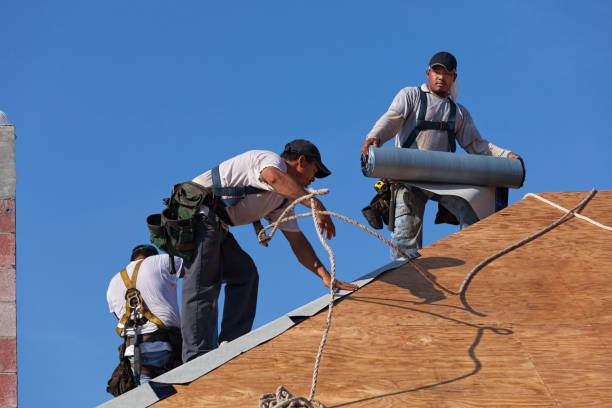Best Emergency Roof Repair  in Schler Park, IL
