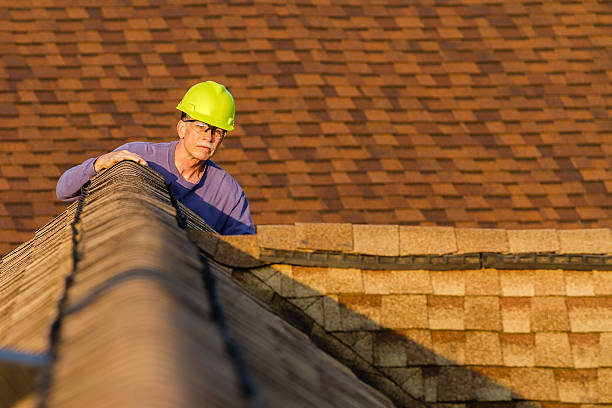 Best Roofing Contractor Near Me  in Schler Park, IL