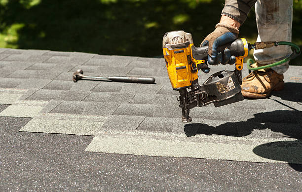 Best Flat Roof Repair Services  in Schler Park, IL