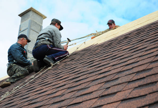 Best Roof Maintenance Services  in Schler Park, IL